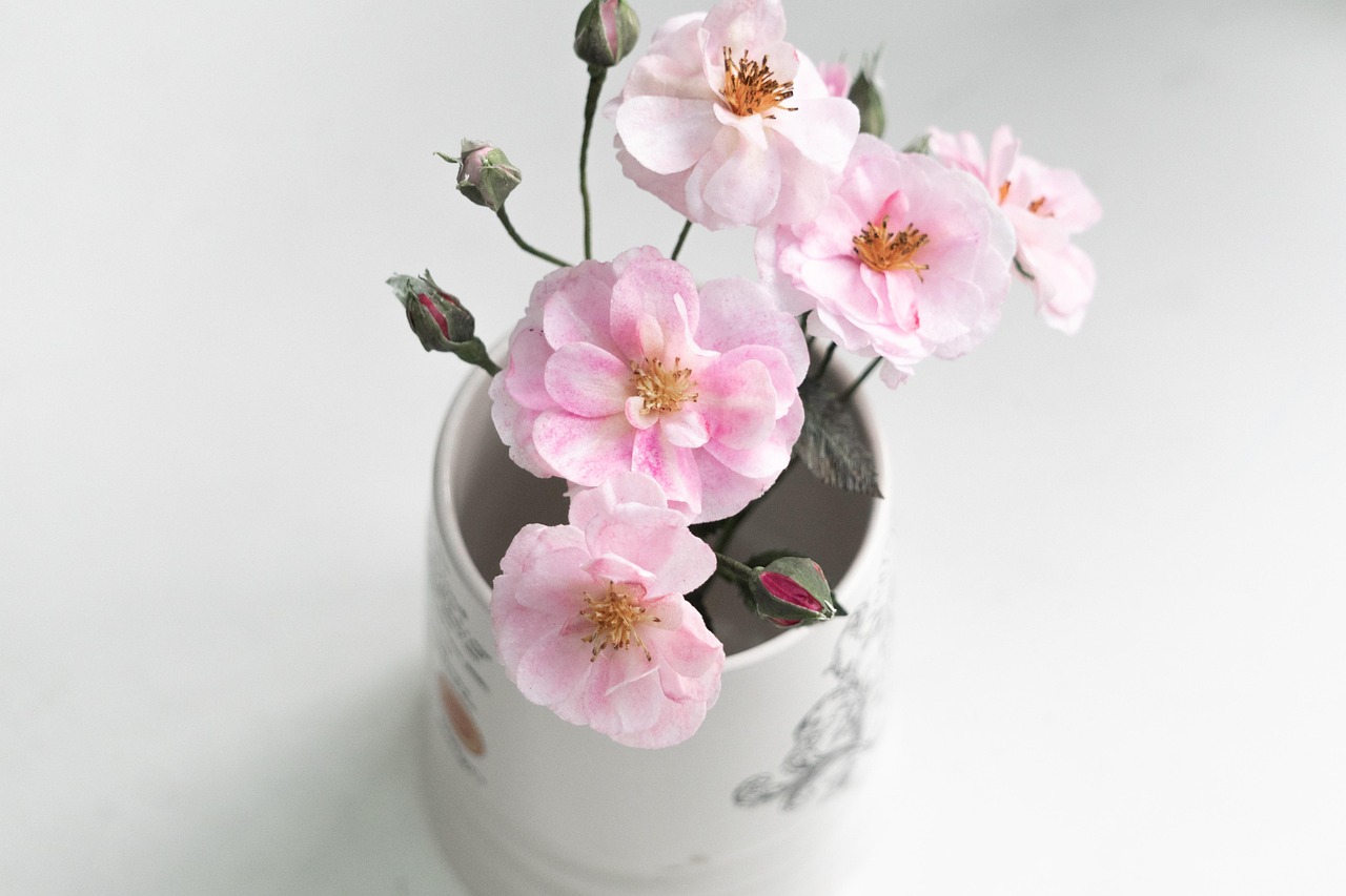 roses, paper flowers, bloom, handmade, craft, handcraft